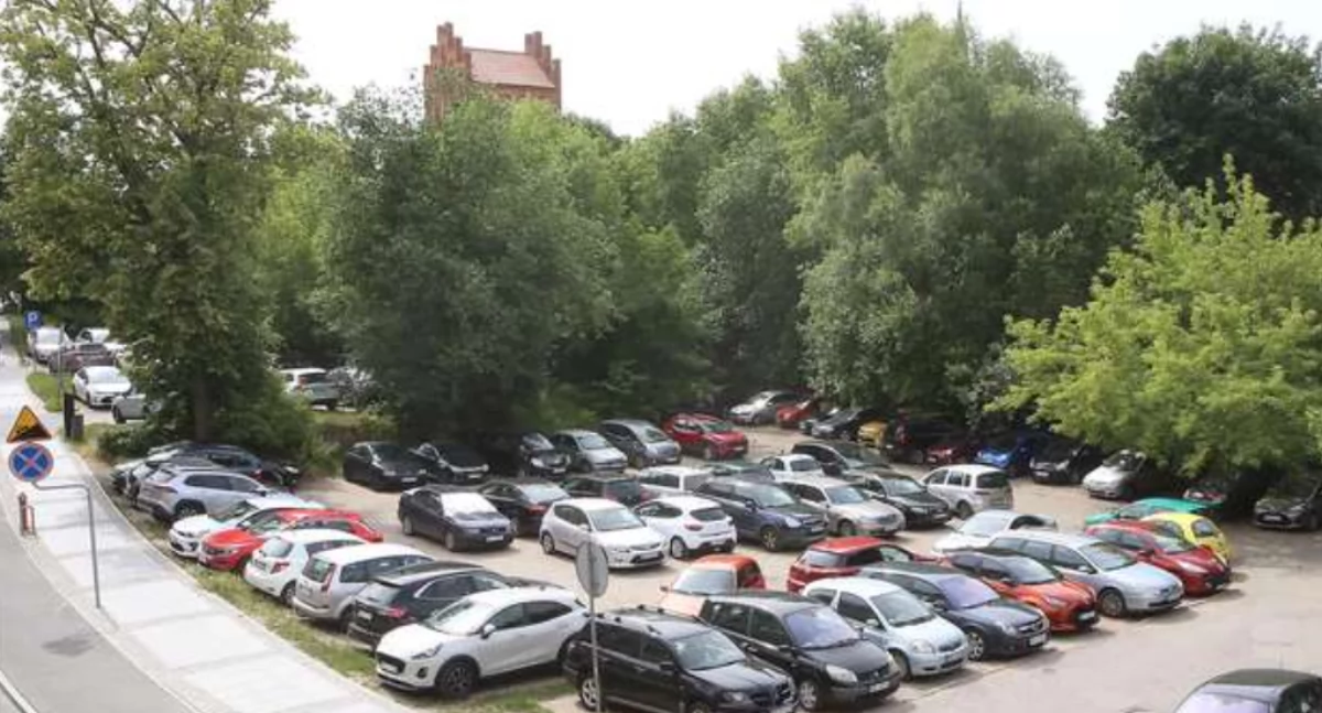 Nie można dzielić kierowców na lepszych i gorszych