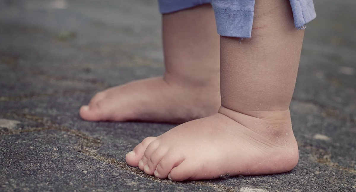 „Ciche tsunami” chorób serca i otyłości w Polsce