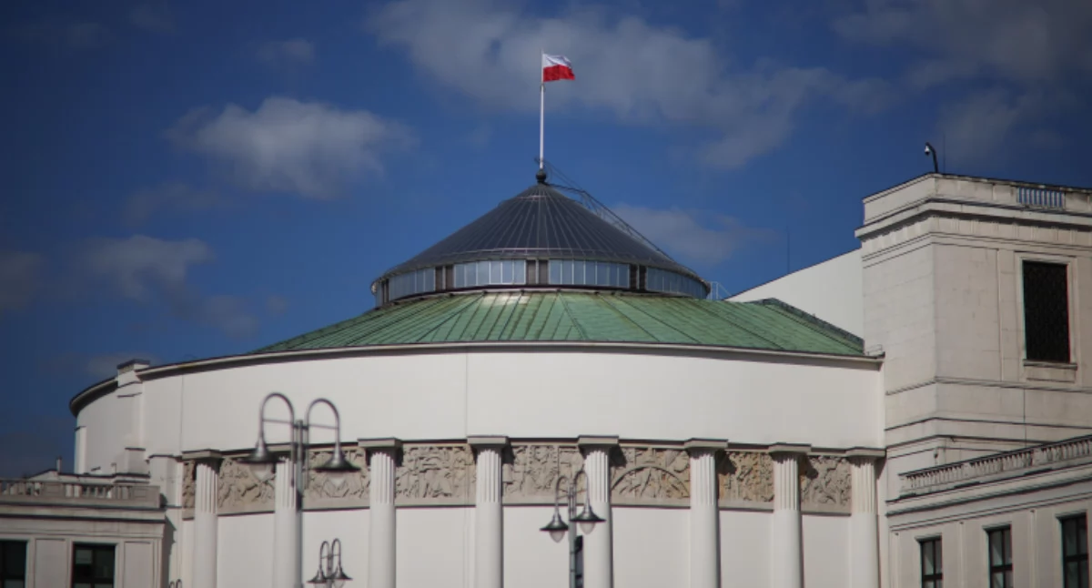 Wyraźny lider i reszta stawki