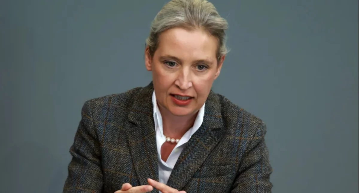 Rekordowe poparcie dla AfD. Niemiecka scena polityczna wchodzi w nową fazę?