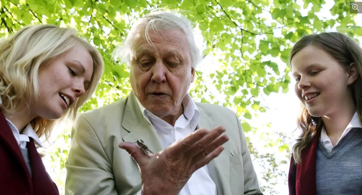 Człowiek, który pokazał światu Ziemię. David Attenborough skończył 100 lat