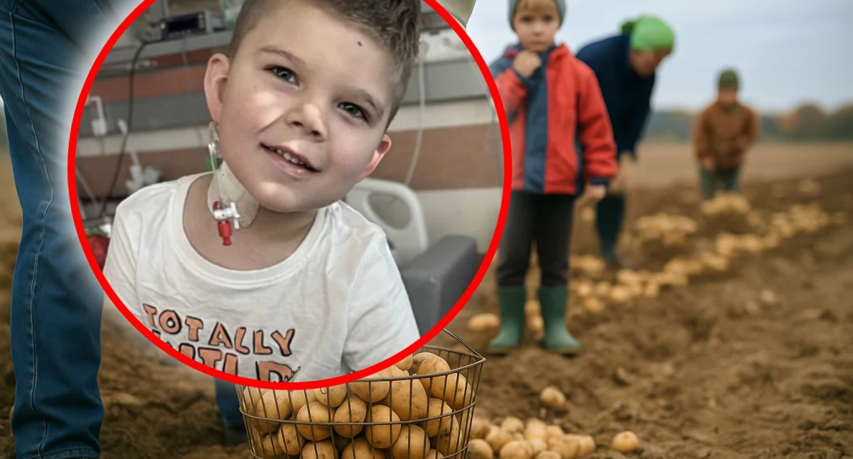 Retro-wykopki w Linowcu. Zabytkowe maszyny w ruchu dla Ignasia