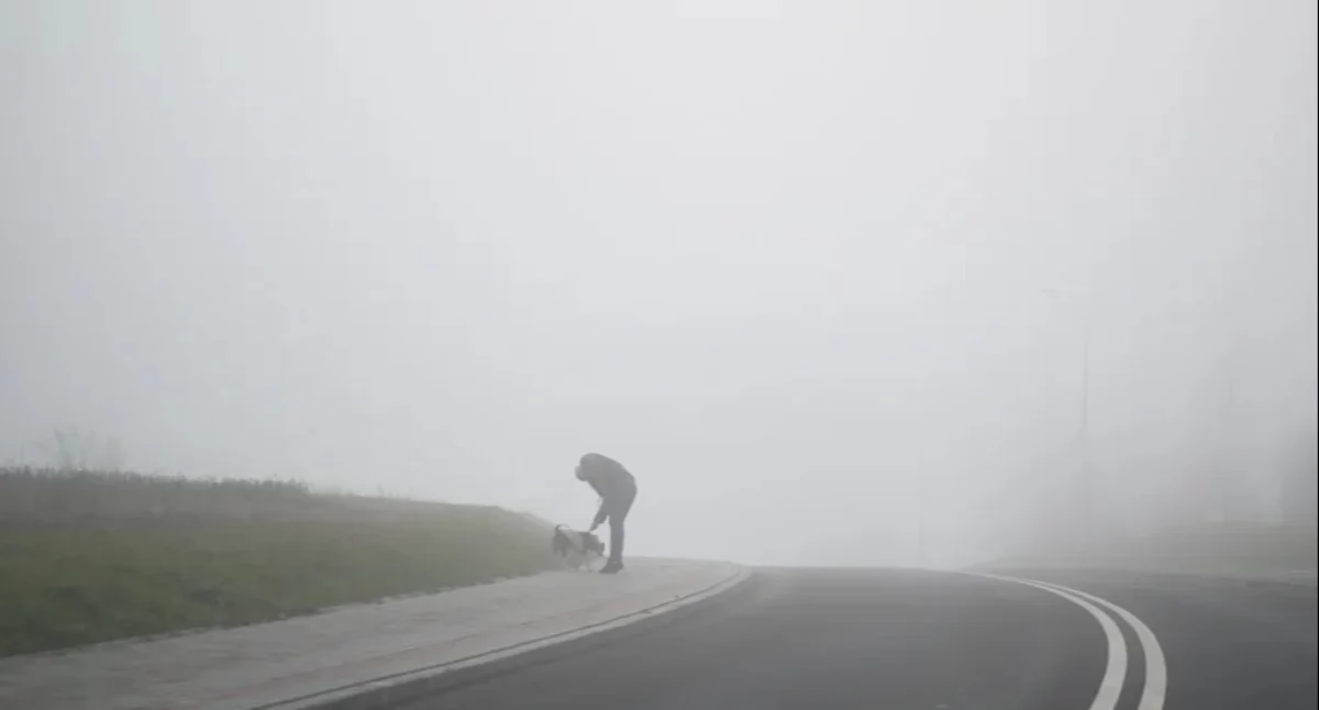 Około 15°C w całym kraju. Na północy mgły, na południu opady deszczu