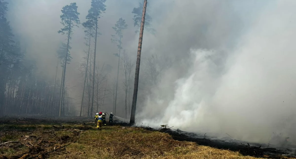 Pożar pod Rucianem-Nidą wymyka się spod kontroli? Ogień trawi kolejne hektary