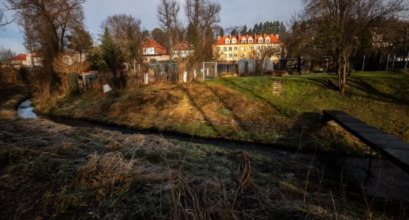 Zbrodnia pod szkołą. Policja wysłuchała 12-latkę 