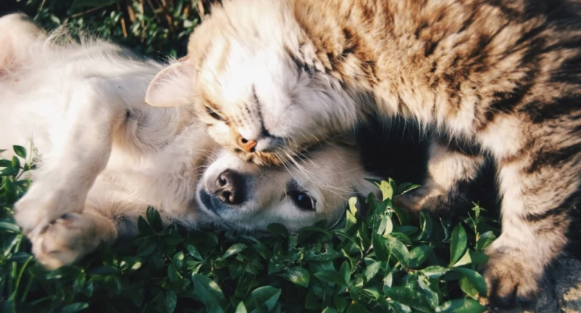 Krista Mangulsone on Unsplash
