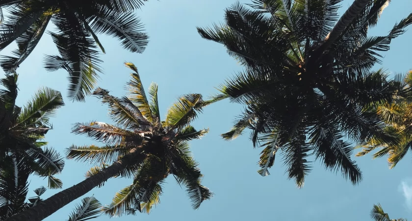 Carles Rabada on Unsplash