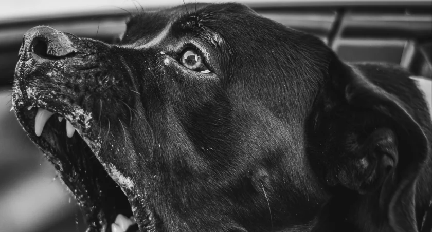  ARTISTIC FRAMES on Unsplash