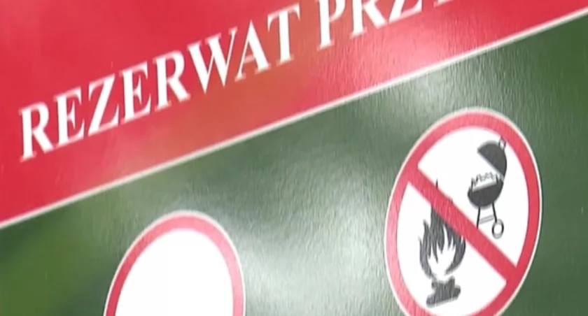zrzut ekranu TVP Warszawa