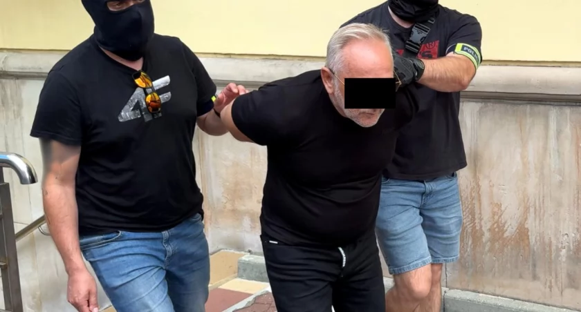 policja