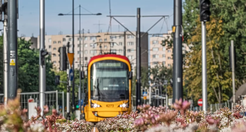 UM Warszawa