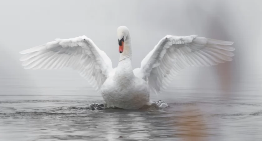 Sascha Bosshard on Unsplash