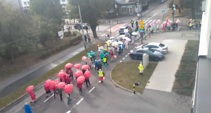 policja