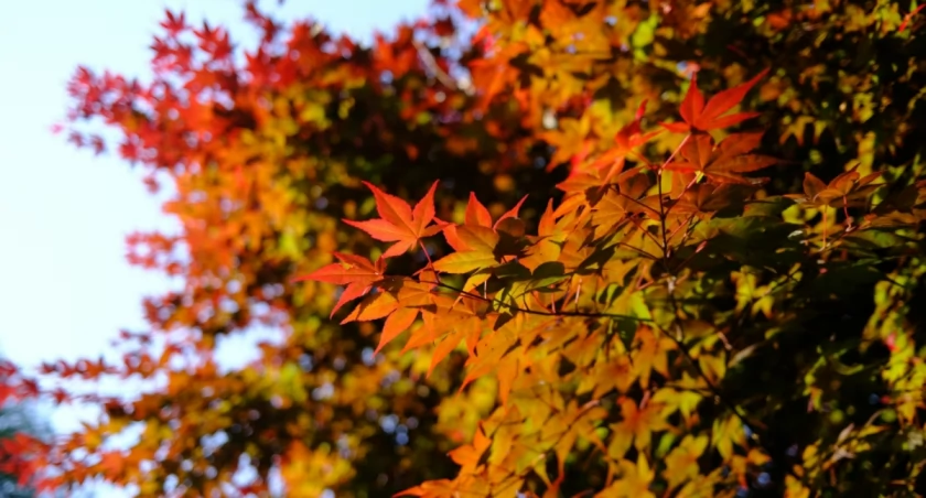 Beaumont Yun on Unsplash