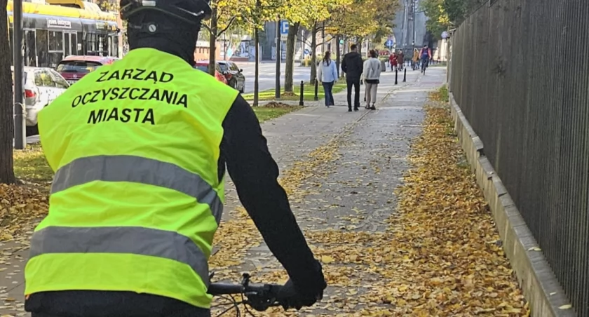 UM Warszawa