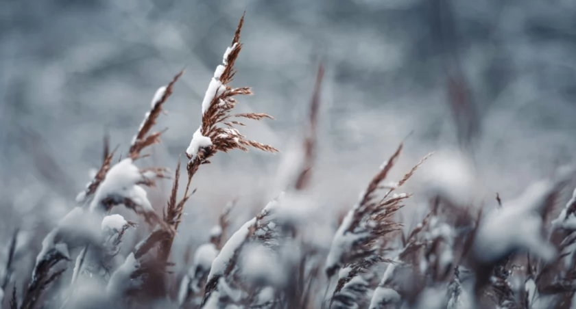 Marek Piwnicki on Unsplash