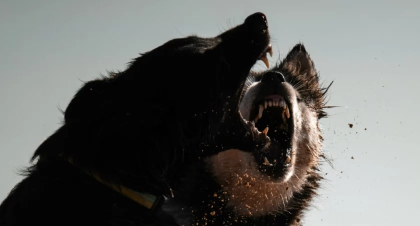 Adam Rhodes on Unsplash