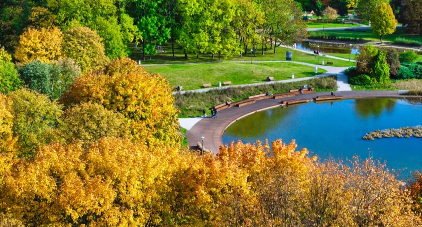 UM Warszawa