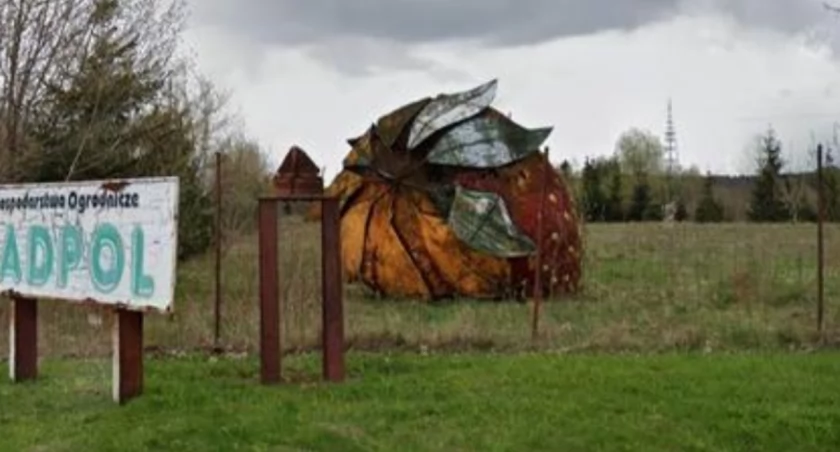 Autor: google maps/ Materiały prasowe