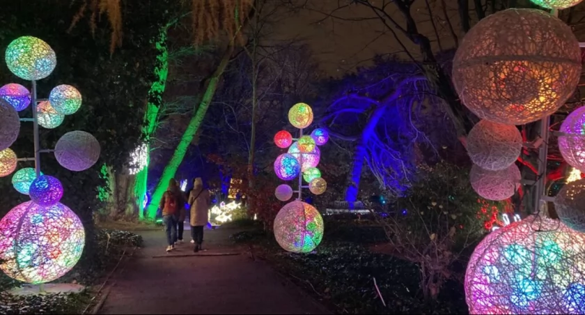fot. Ogród Botaniczny Uniwersytetu Warszawskiego