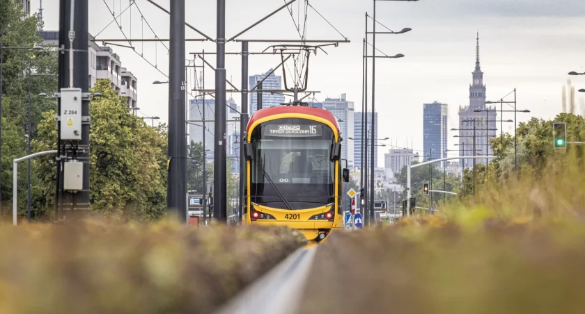 UM Warszawa