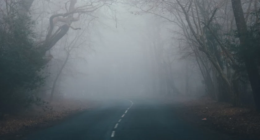Annie Spratt on Unsplash