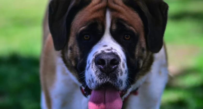  Larry Nalzaro on Unsplash