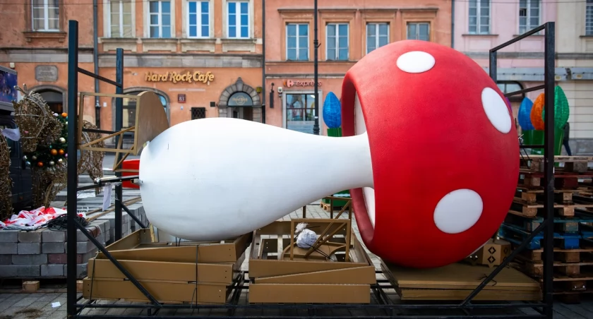 UM Warszawa