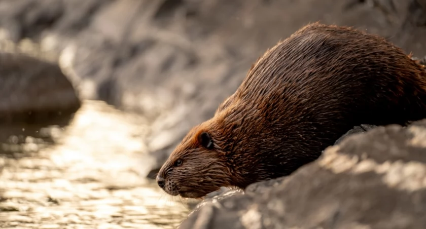 Tim Umphreys on Unsplash