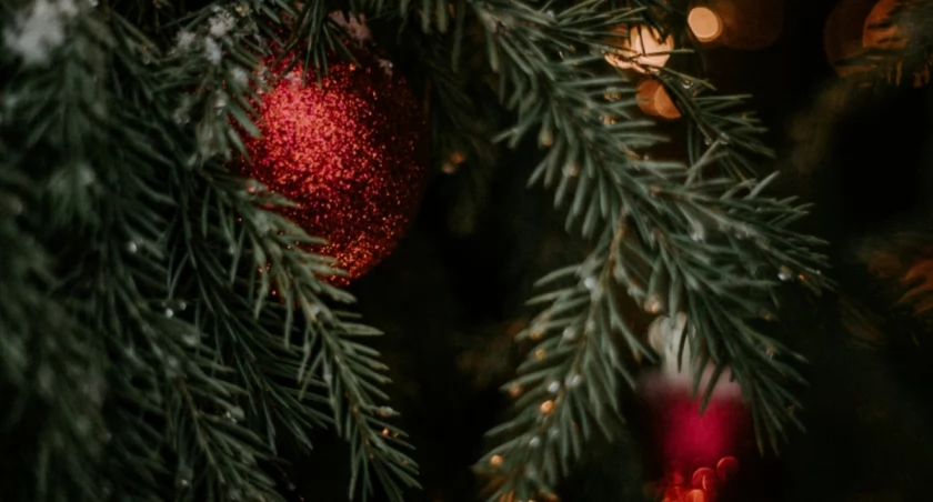 Alsu Vershinina on Unsplash