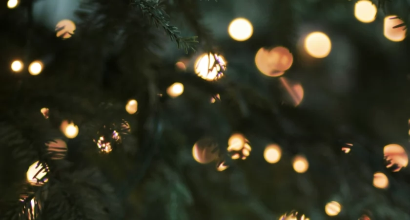 Morgane Le Breton on Unsplash zdj. ilustracyjne