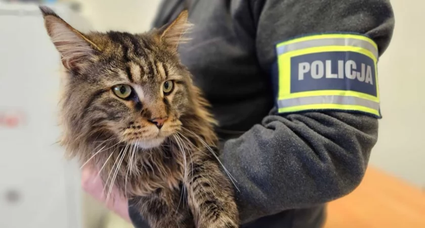 fot. Mazowiecka Policja