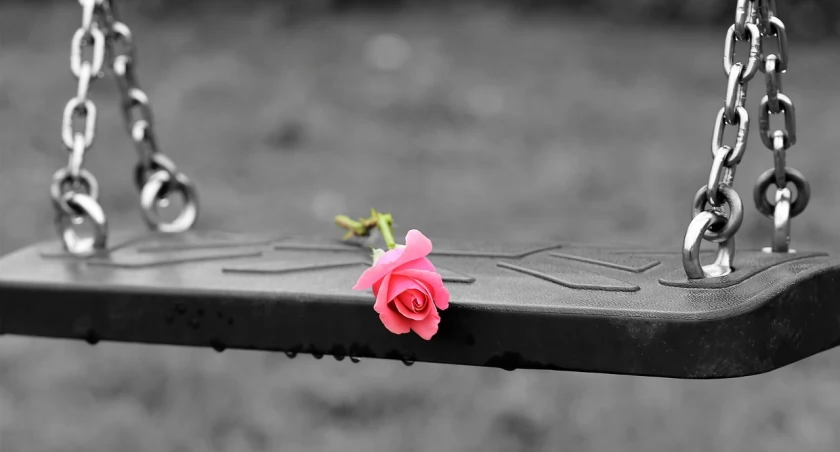 fot. pixabay
