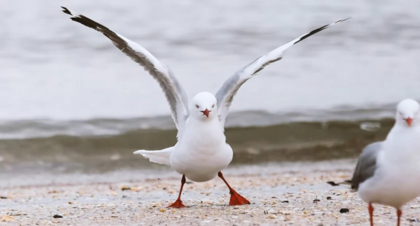  Phil Botha on Unsplash