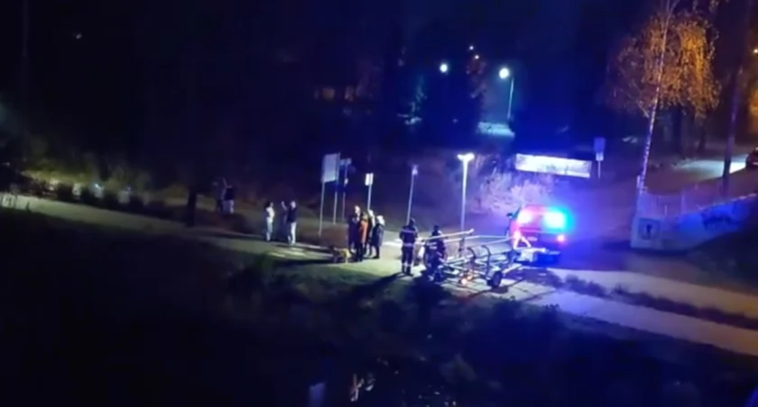 zrzut ekranu TVN