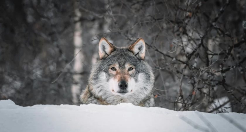 Federico Di Dio photography on Unsplash