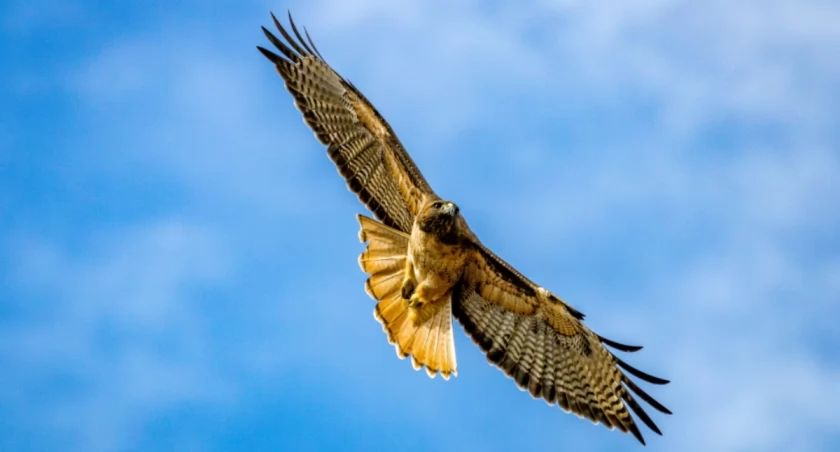 John Bell on Unsplash