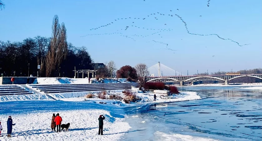 UM Warszawa