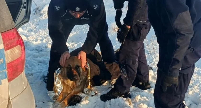 Fot. Policja Mazowiecka