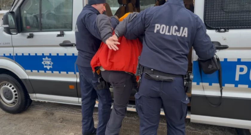 policja
