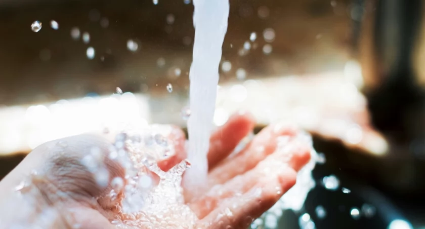 Hollie Santos on Unsplash