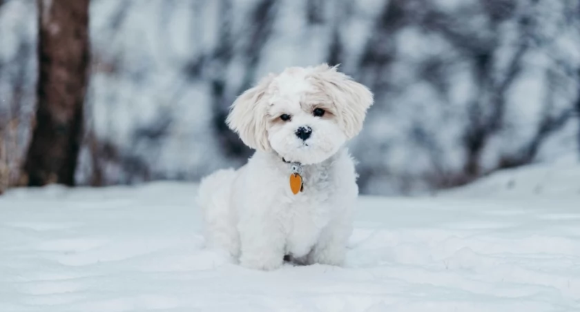 Noah Buscher on Unsplash