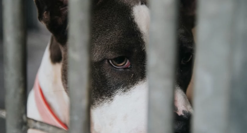 Siebe Vanderhaeghen on Unsplash