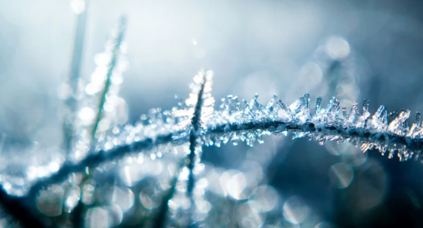  Paulina K on Unsplash