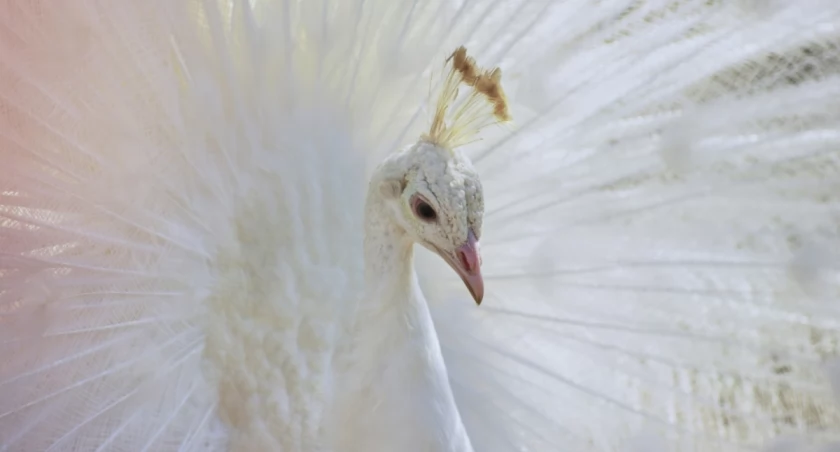 AGL Fotos on Unsplash (zdjęcie ilustracyjne)