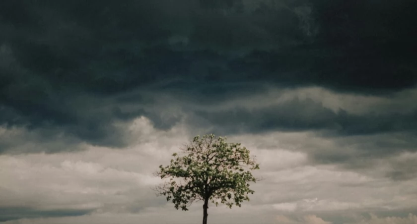 Elbert Lora on Unsplash