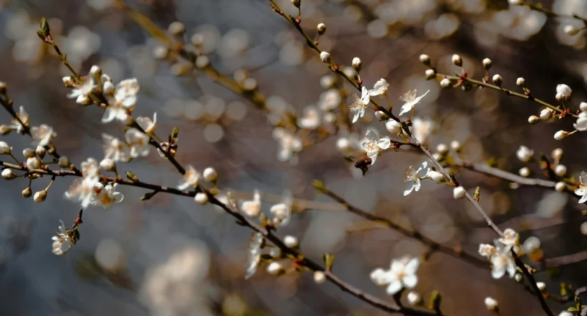 Janko Francisti on Unsplash