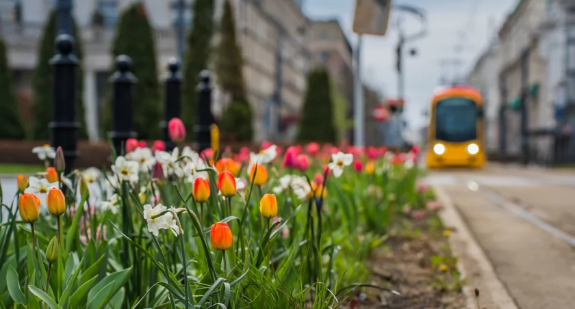 UM Warszawa