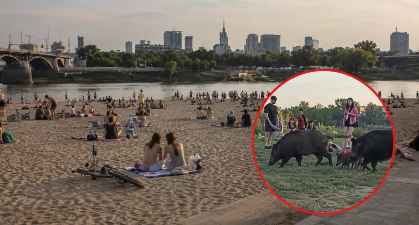 Zdjęcie ilustracyjne AI (UM Warszawa, turystyka.wp.pl)