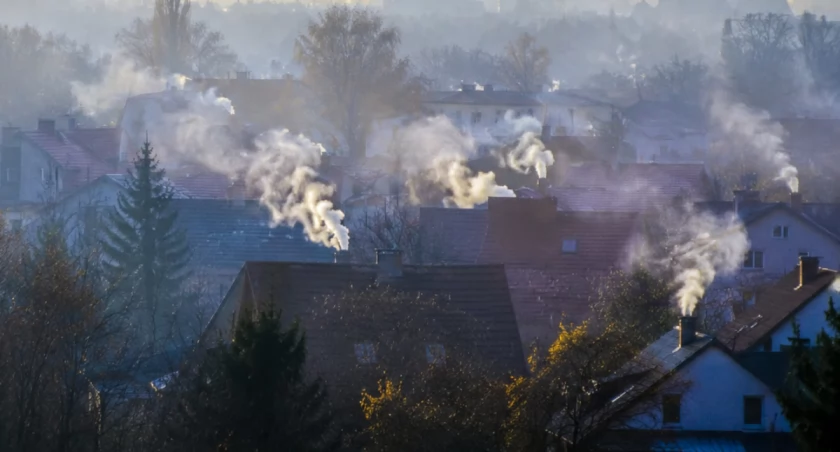 Zdjęcie ilustracyjne
